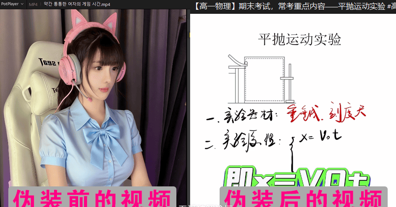 隐私保护黑科技!VideoCamouflageMaster v1.0.0:让私密文件 “隐身” 于无形|福利之家